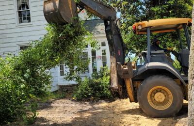 Land Clearing & Brush Cutting project photo