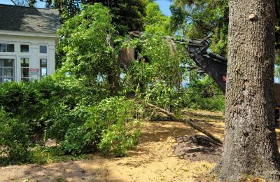 Land Clearing & Brush Cutting project photo