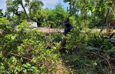 Land Clearing & Brush Cutting project photo