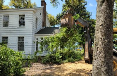 Land Clearing & Brush Cutting project photo