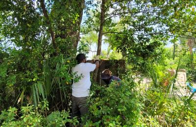 Land Clearing & Brush Cutting project photo