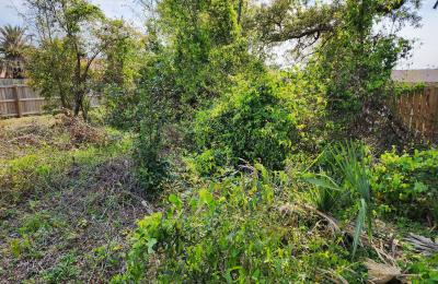 Land Clearing & Brush Cutting project photo
