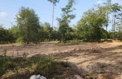 Land Clearing & Brush Cutting project photo