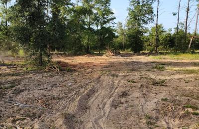 Land Clearing & Brush Cutting project photo
