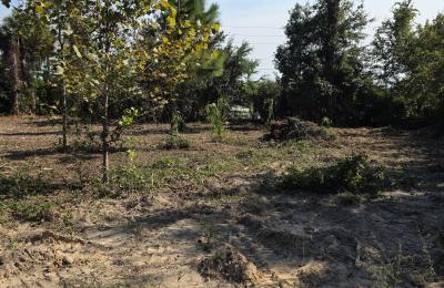 Land Clearing & Brush Cutting project photo