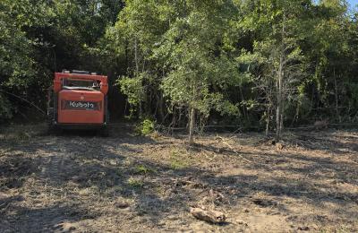 Land Clearing & Brush Cutting project photo