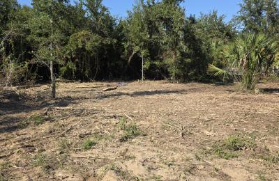 Land Clearing & Brush Cutting project photo