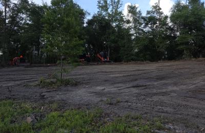 Land Clearing & Brush Cutting project photo