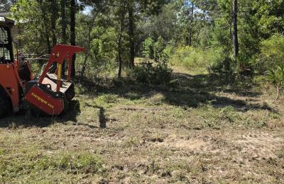 Land Clearing & Brush Cutting project photo