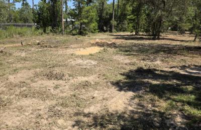 Land Clearing & Brush Cutting project photo