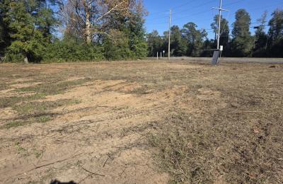 Land Clearing & Brush Cutting project photo