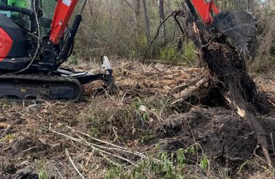 Land Clearing & Brush Cutting project photo