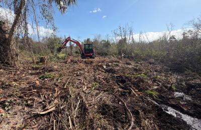 Land Clearing & Brush Cutting project photo