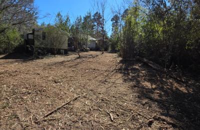 Land Clearing & Brush Cutting project photo