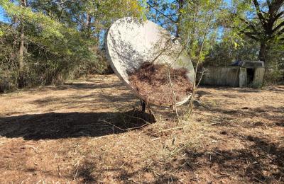 Land Clearing & Brush Cutting project photo