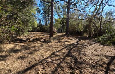 Land Clearing & Brush Cutting project photo
