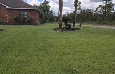 Landscaping photo