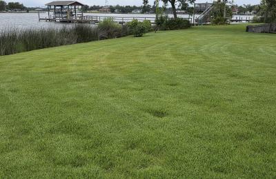Landscaping photo