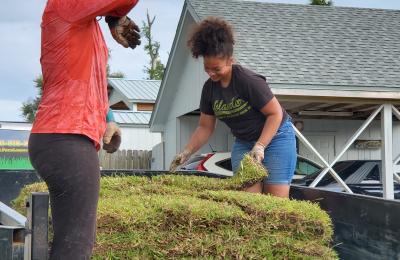 Landscaping photo