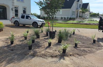 Landscaping photo