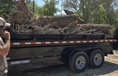 Tree service photo