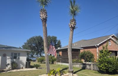 Tree service photo