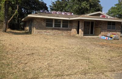 Tree service photo